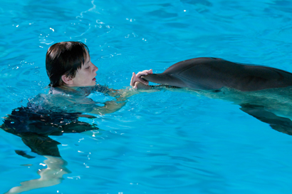 Mein Freund der Delfin