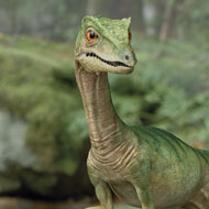 Ein Compsognathus im Film Planet Deutschland – 300 Millionen Jahre