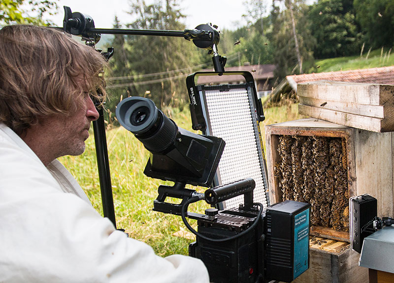 Kameramann wartet mit aufgebautem Kamera-Equipment vor einem Bienenkasten