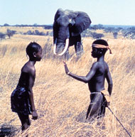 Film Sirga, die Löwin: Oulé, Lena und ein Elefant