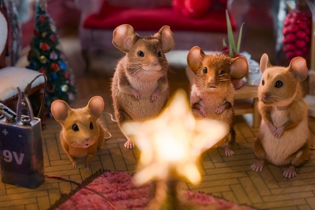 Vier Mäuse stehen andächtig vor einem leuchtenden Weihnachtsstern, der von einer Batterie betrieben wird, im Hintergrund ist ein kleiner Weihnachtsbaum