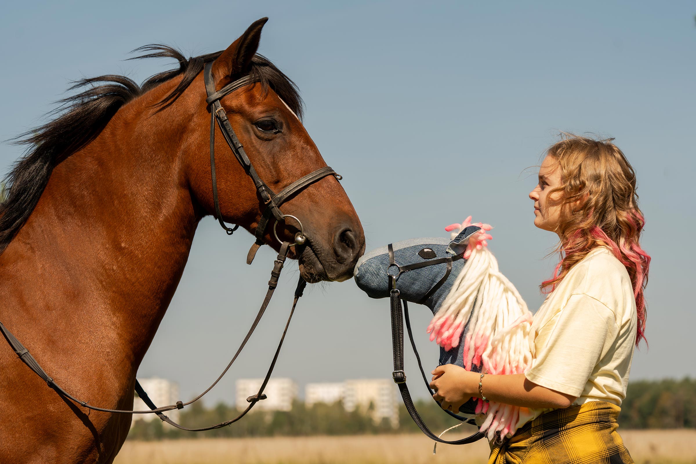 Echtes Pferd steht gegenüber einem Mädchen mit Hobby horse